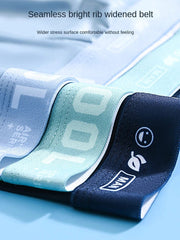 4Pcs Boxer Shorts Men's Underwear Ice Silk Underpants Sexy Panties 3A Antibacterial Breathable Elastic Lingerie Plus Size L - 6XL - SHOWLU FASHION STORE