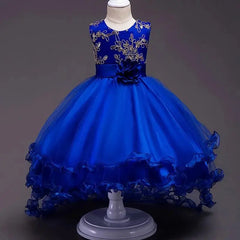 Girls Princess Embroidery Baby Flower Wedding Christmas Party Tutu Dress Teenager Children Kids Elegant Vestidos for 3 - 15Years - SHOWLU FASHION STORE
