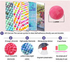 A diamond painting kit featuring 2.8mm resin drills, adhesive canvas, and a complete set of tools.