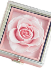 Proposal Qixi Girlfriend Bar Ring Box SHOWLU FASHION STORE