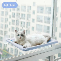 A light blue cat hammock is mounted to a window with suction cups and a cat is resting on it.