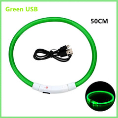 A green USB rechargeable LED glowing pet collar with a charging cable.
