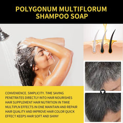 A Polygonum Multiflorum shampoo bar shown with a person washing hair and before-after results.