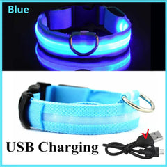 A blue adjustable LED dog collar with a USB charging cable.