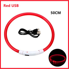 A red USB rechargeable LED glowing pet collar with a 50 centimeter length.