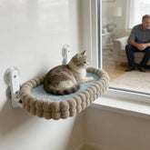 A cat rests on a plush, oval-shaped window perch attached to a glass pane with suction cups.
