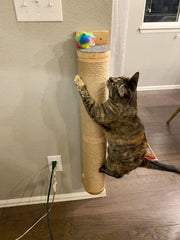 A wall-mounted wooden cat scratching post with a sisal-wrapped column and a small toy on top.