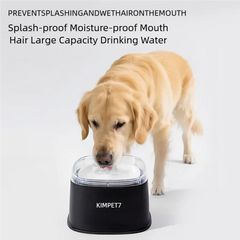 Spill Proof Water Bowl for Dogs 2000ml Large Capacity Slow Drinking Bowl for Messy Drinkers Pet Puppy Kitten Drinking Dispenser