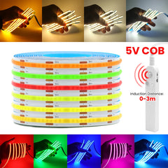 Motion Sensor LED Strip Light 5V USB