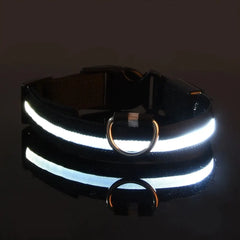 A black nylon dog collar with a bright LED light strip and a metal D-ring for a leash.