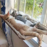 Two cats sleep on a beige fabric window hammock attached to a glass pane with suction cups.