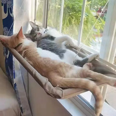 Two cats sleep on a beige fabric window hammock attached to a glass pane with suction cups.