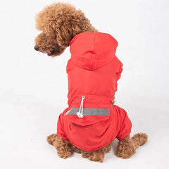 A brown poodle wearing a bright red hooded dog raincoat with a reflective strip on the back.