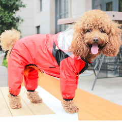 A brown poodle wears a red, waterproof, full-body dog jumpsuit with a transparent hood.