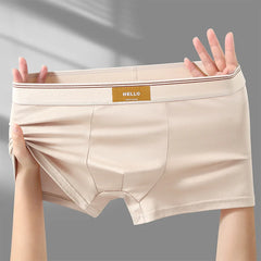 1Pcs Boxer Shorts Milk Silk Men's Underwear Breathable Underpants Breathable Sexy Panties Boxers Mens panties Boxershorts