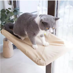 A grey and white cat sits on a beige window-mounted hammock attached to a glass pane.