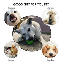 Interactive Dog Chew Ball Rubber Pet Toy Teeth Cleaning Treat Dispensing Puppy Training Ball