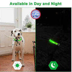 A green LED glowing dog collar shown on a Dalmatian during the day and in the dark.