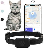 A black pet collar with a paw-print GPS tracker shown next to a smartphone displaying a map.