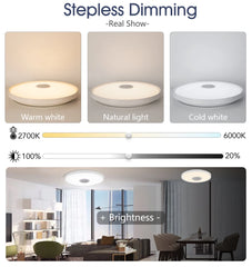 Smart RGB LED Ceiling Light Bluetooth Speaker Remote Control