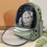 A green pet travel backpack with a transparent front window and a cat sitting inside.