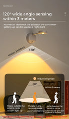 Rechargeable Motion Sensor LED Wall Spotlight