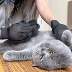 A person uses black silicone grooming gloves to brush a grey cat lying on a wooden surface.