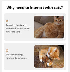 Automatic Pet Laser Toy