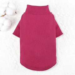 A magenta ribbed turtleneck sweater for dogs laid flat on a white textured surface.