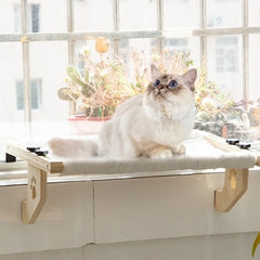 A fluffy cat sits on a wooden window hammock featuring decorative paw print cutouts.