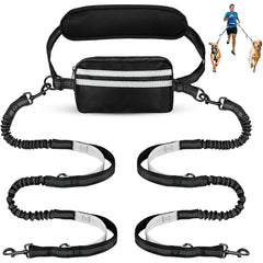 A hands-free dual dog leash set with a waist pouch and two bungee leashes for walking two dogs.