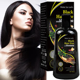 A bottle of Water Ice Levin black hair dye shampoo next to its box, featuring a woman with dark hair.