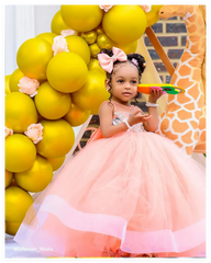 Flower Girl Dress Children Wedding Bridemaid Dresses Kids Pink Tutu Sequin Gowns Girl Boutique Party Wear Elegant Frocks