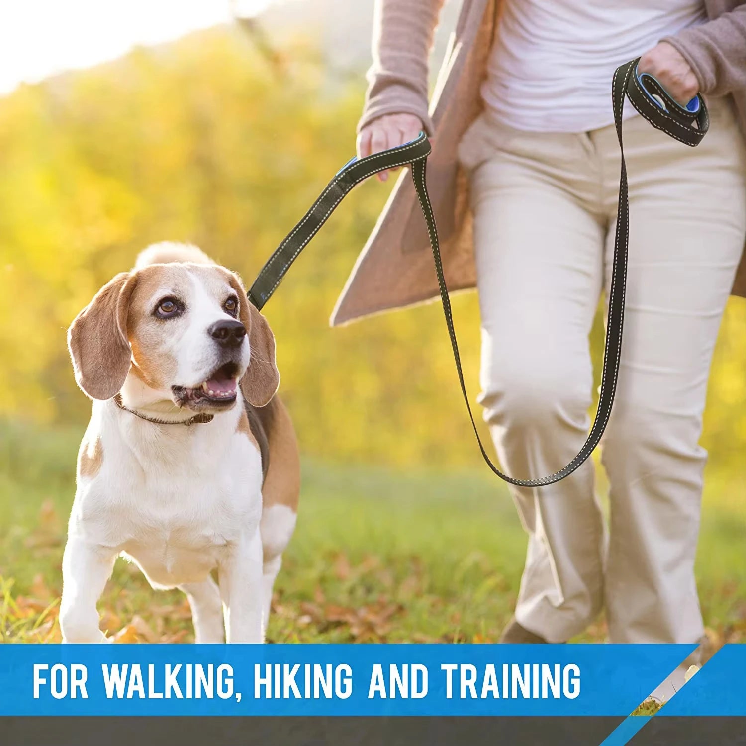A person walks a beagle on a black nylon leash with reflective stitching.