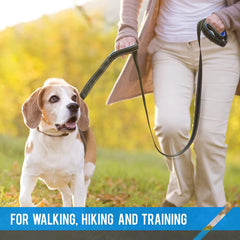 A person walks a beagle on a black nylon leash with reflective stitching.