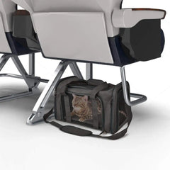 A grey soft-sided pet carrier containing a cat sits on the floor beneath airplane seats.