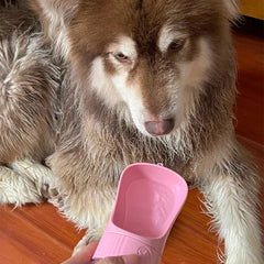 Pet Portable Water Bottle