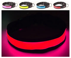 LED Luminous Dog Collar USB Rechargeable Safety Night Collar