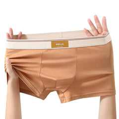 1Pcs Boxer Shorts Milk Silk Men's Underwear Breathable Underpants Breathable Sexy Panties Boxers Mens panties Boxershorts
