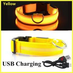 A yellow adjustable LED dog collar with a USB charging cable shown in both lit and unlit states.