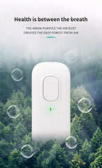 Plug-in Negative Ion Air Purifier for Home