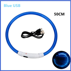 A blue USB rechargeable LED glowing pet collar with a charging cable.