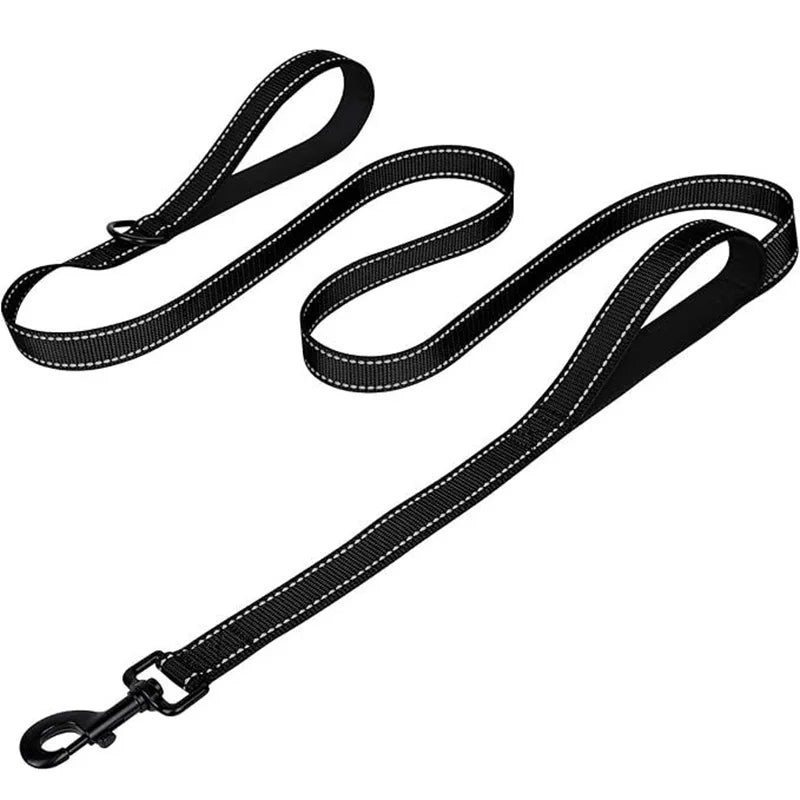 A black nylon dog leash with two handles and reflective stitching, featuring a metal clasp.