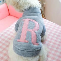 A small dog wears a grey, velvet-lined hoodie featuring a large pink letter R on the back.