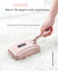 Mini Carpet Spot Cleaner