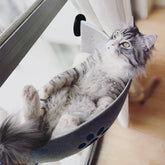 A grey tabby cat relaxes in a grey felt window-mounted hammock with a paw print cutout.
