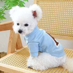 A small white dog wearing a light blue long-sleeved hoodie with a brown letter R on the back.