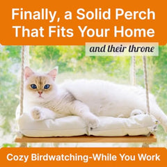 A white cat rests on a wooden window perch with a soft cushion suspended by ropes.