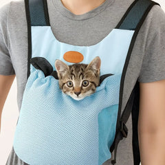 A person wears a light blue mesh pet carrier backpack with a tabby kitten peeking out.
