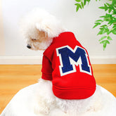 A small white dog wears a red long-sleeved hoodie featuring a large blue letter M on the back.